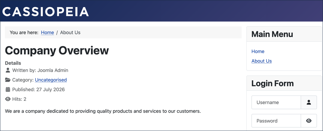 Frontend About Us page showing the Company Overview article