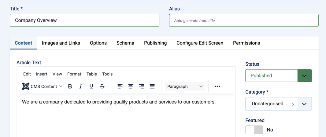 New article form with Title Company Overview and the article text filled in