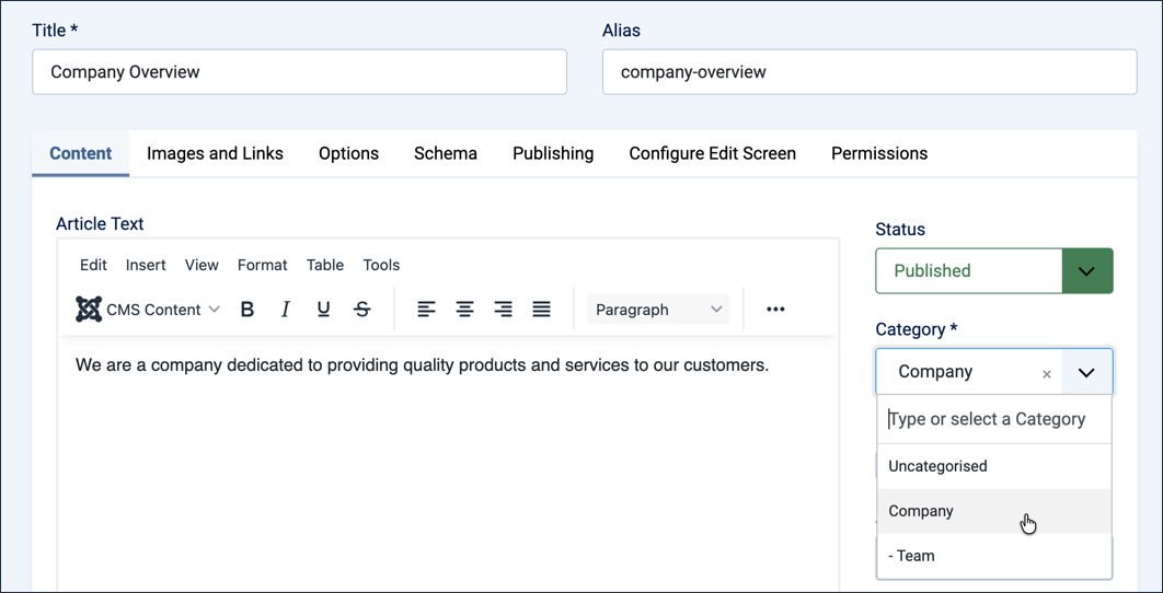 Company Overview edit form with the Category field set to Company