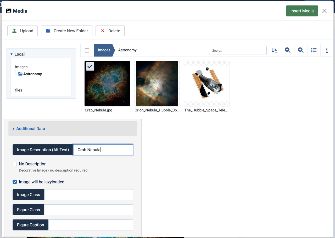 Crab Nebula thumbnail selected in the Media popup, with alternate text entered