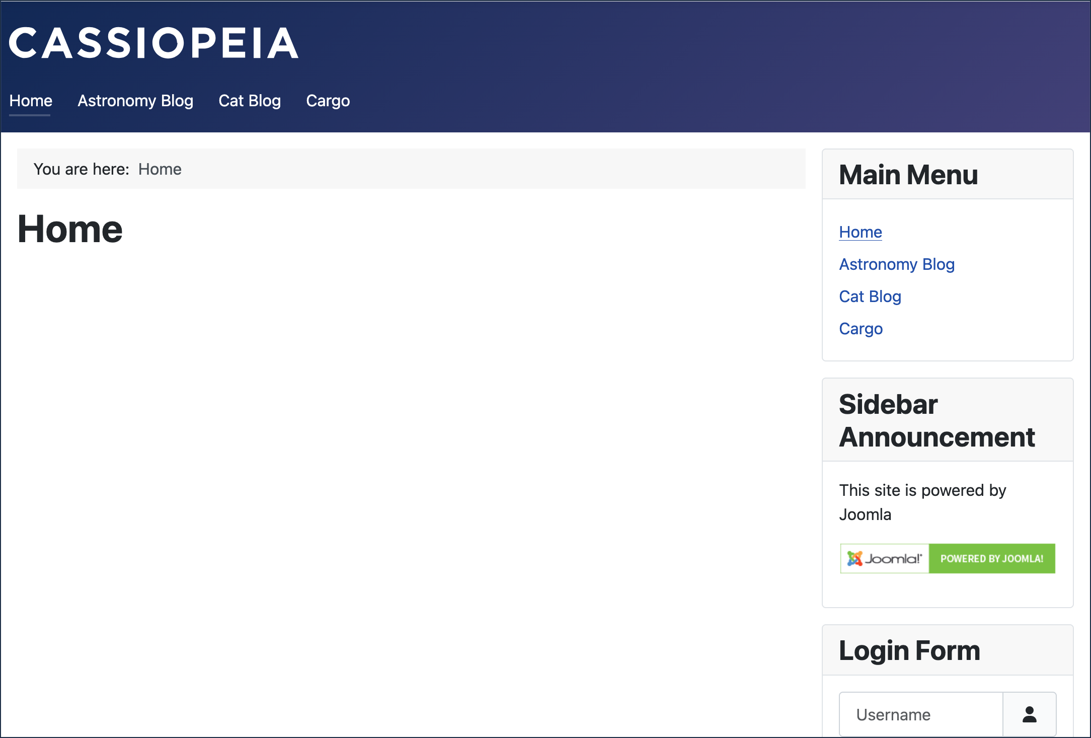 Custom module appears in the right sidebar under Menu Items