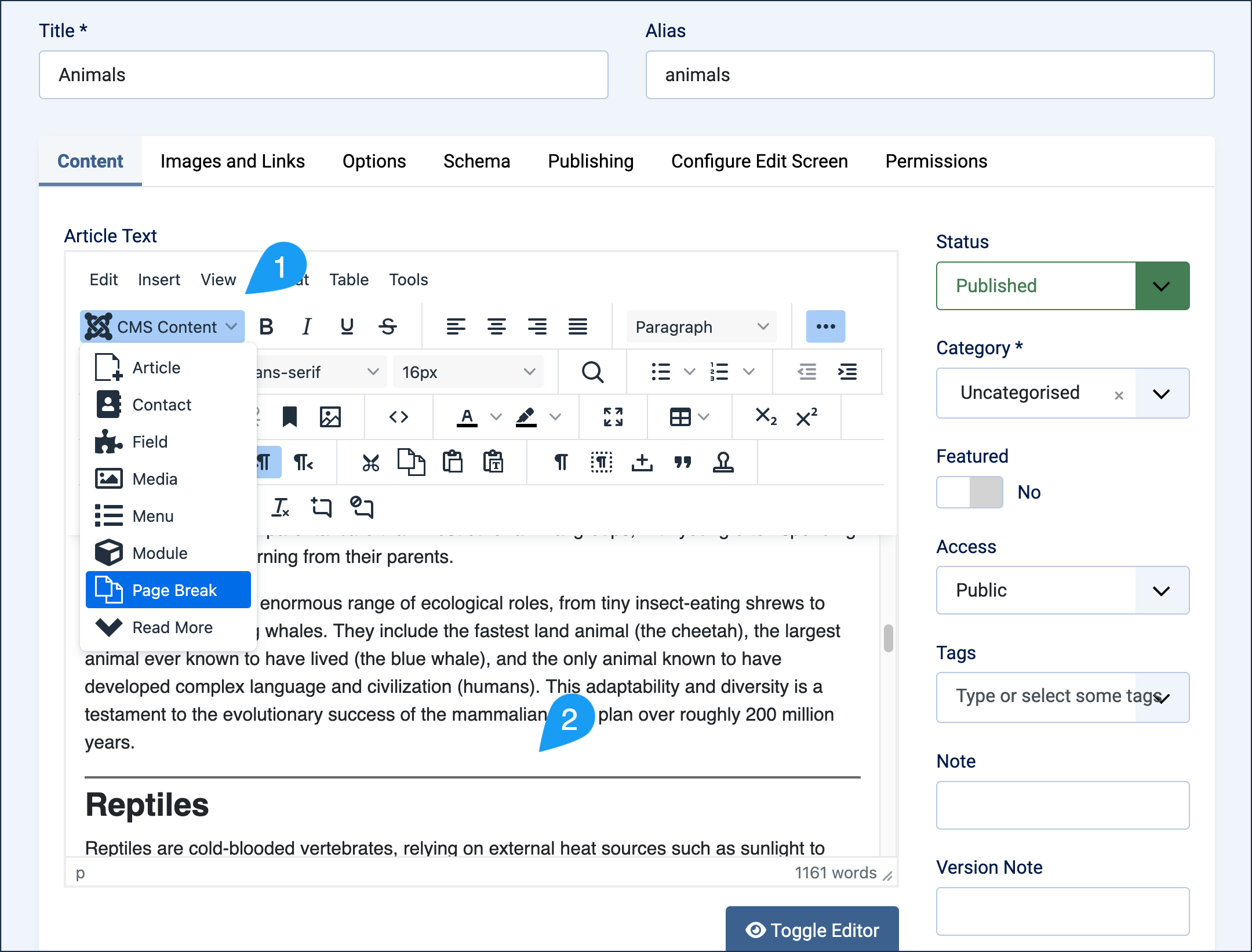 Article editor highlighting the insert-page-break control and the resulting page break in the article text.