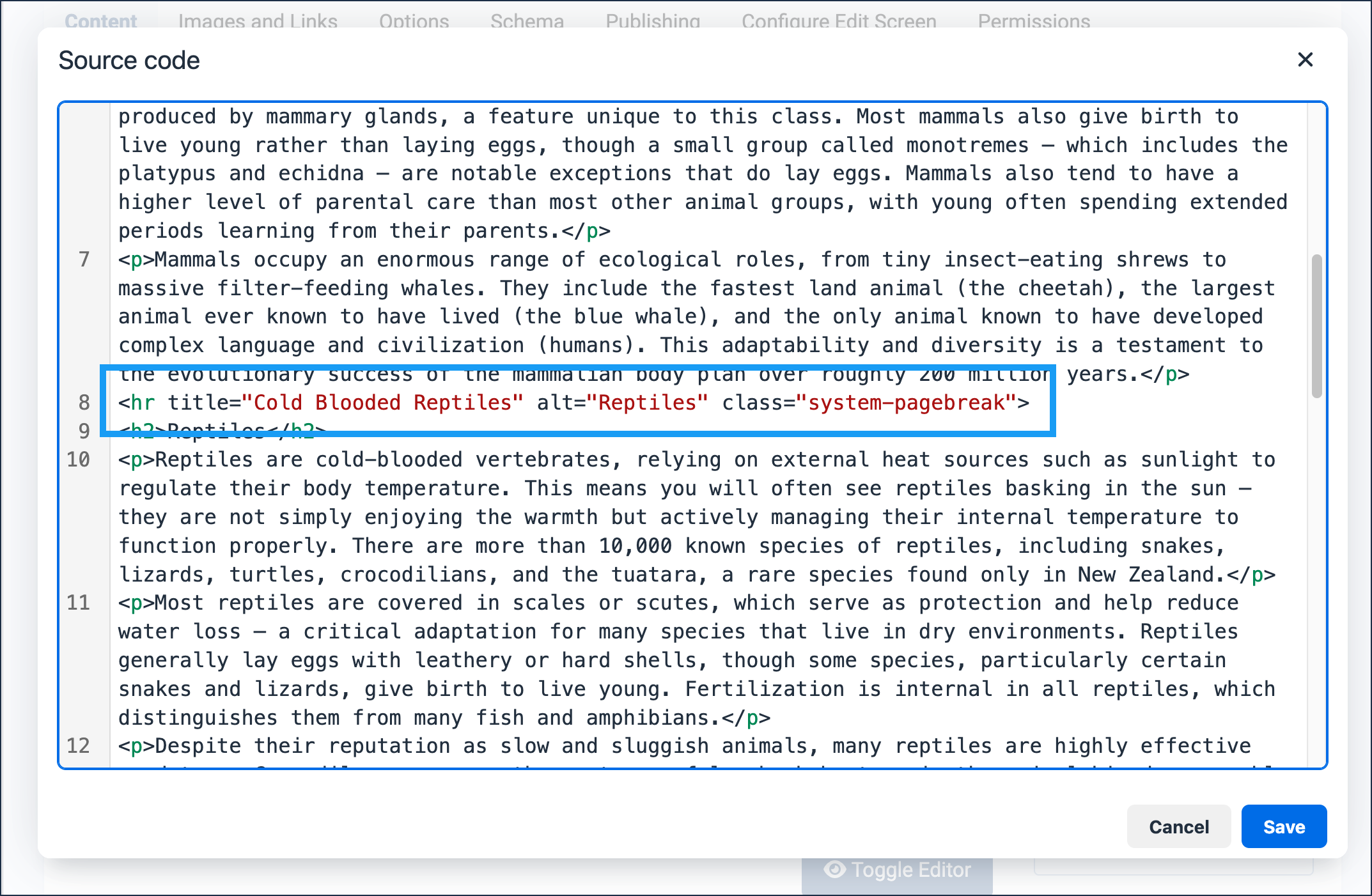 The page break HR tag in the script editor.