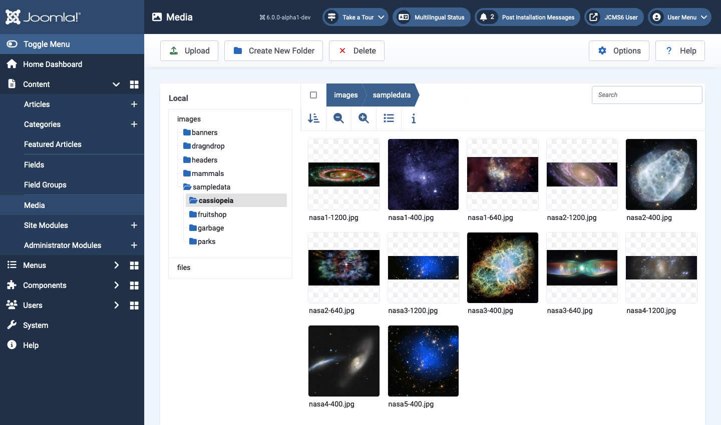Media page showing sample data cassiopeia