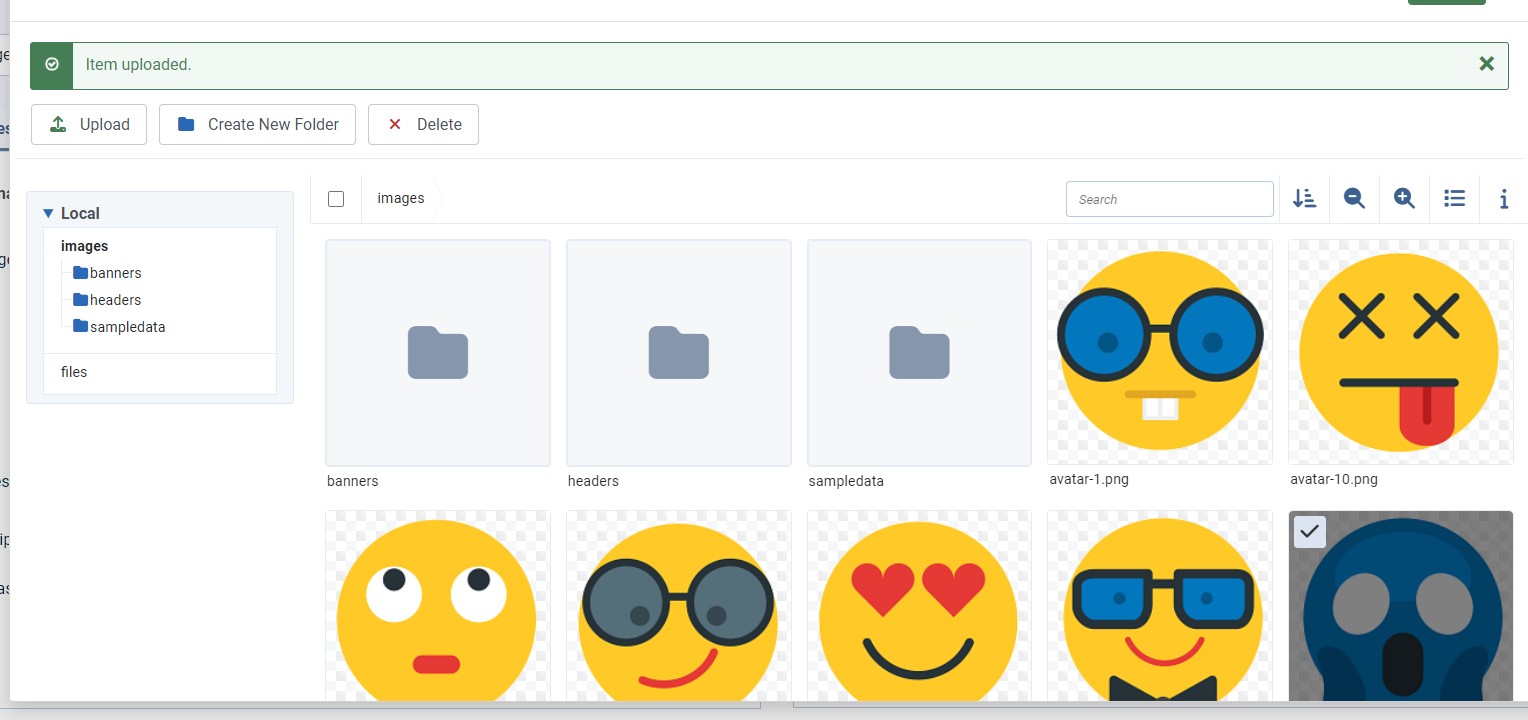 Screenshot media manager item uploaded and preselected