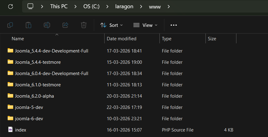 Laragon multiple local test environments