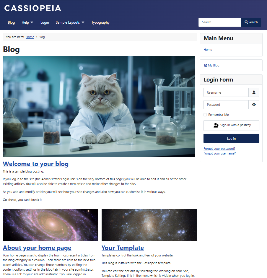 Result of the template changes with a blog category displaying a leading article in 1 column with the full article image for the leading article